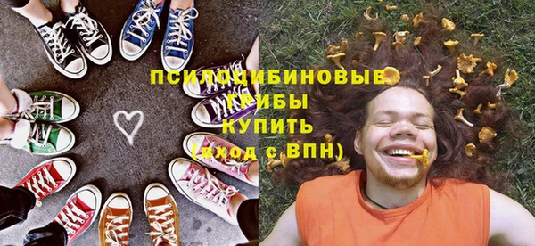 прущие крисы Арсеньев